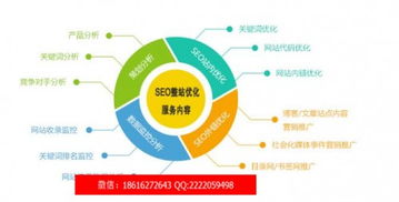 數(shù)字時代新篇章 網(wǎng)絡信息技術開發(fā)與創(chuàng)新之路