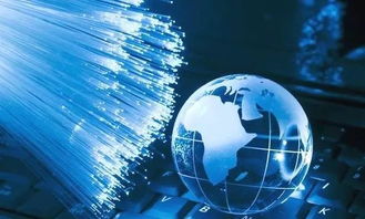 擁抱經貿，信息技術學院邀你共探網絡信息技術開發的未來